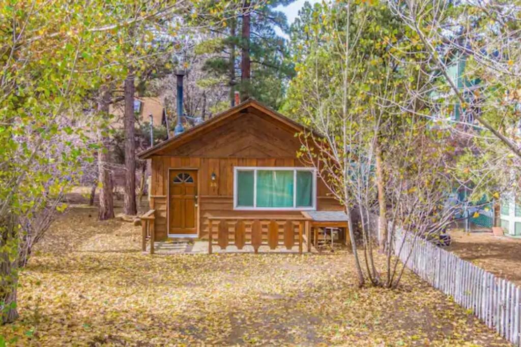 Bear Forest Hideaway, 5 Bed'S, Indoor Fireplace! Villa Sugarloaf Exterior photo